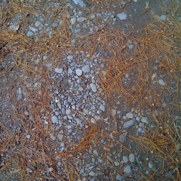 The Geology of Change: A Poem for&nbsp;Rock