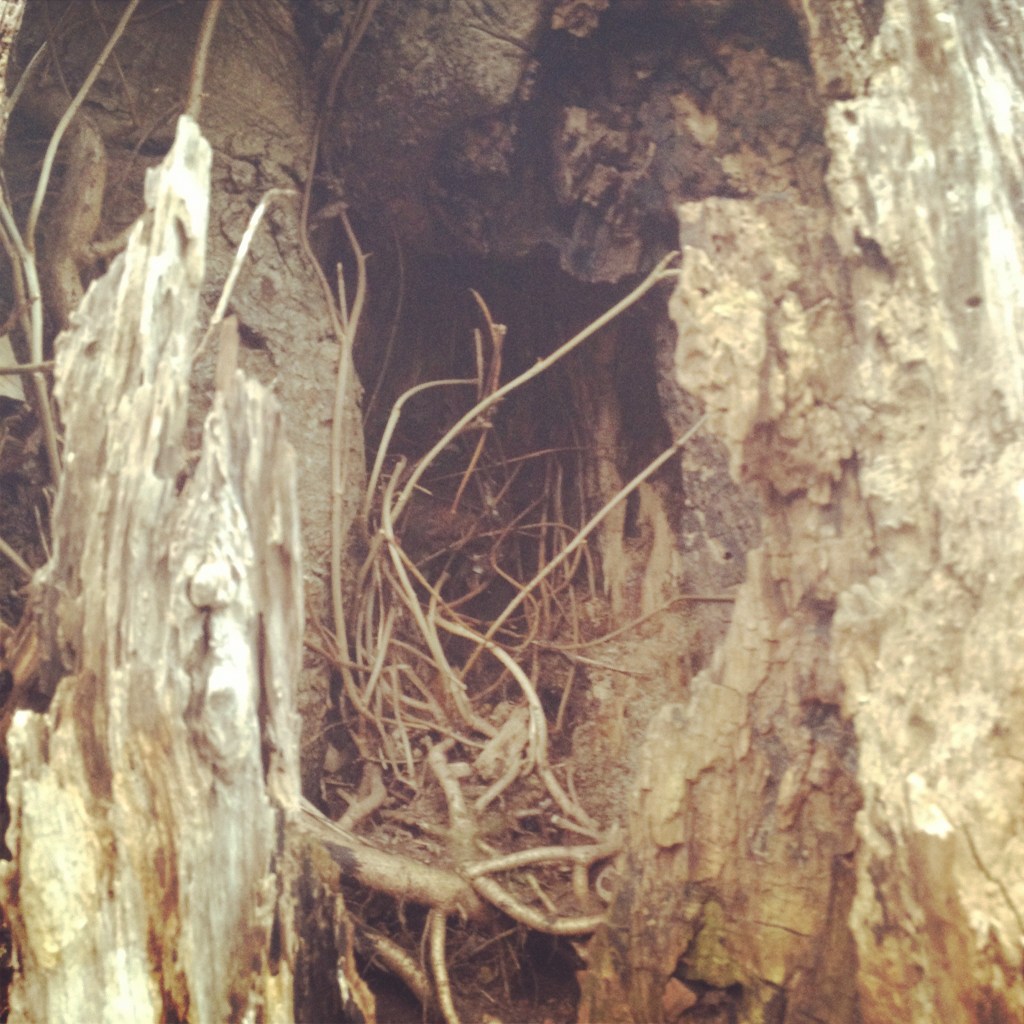 What’s Buried Inside You and&nbsp;Me