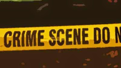 A Burglar Named&nbsp;Sorrow